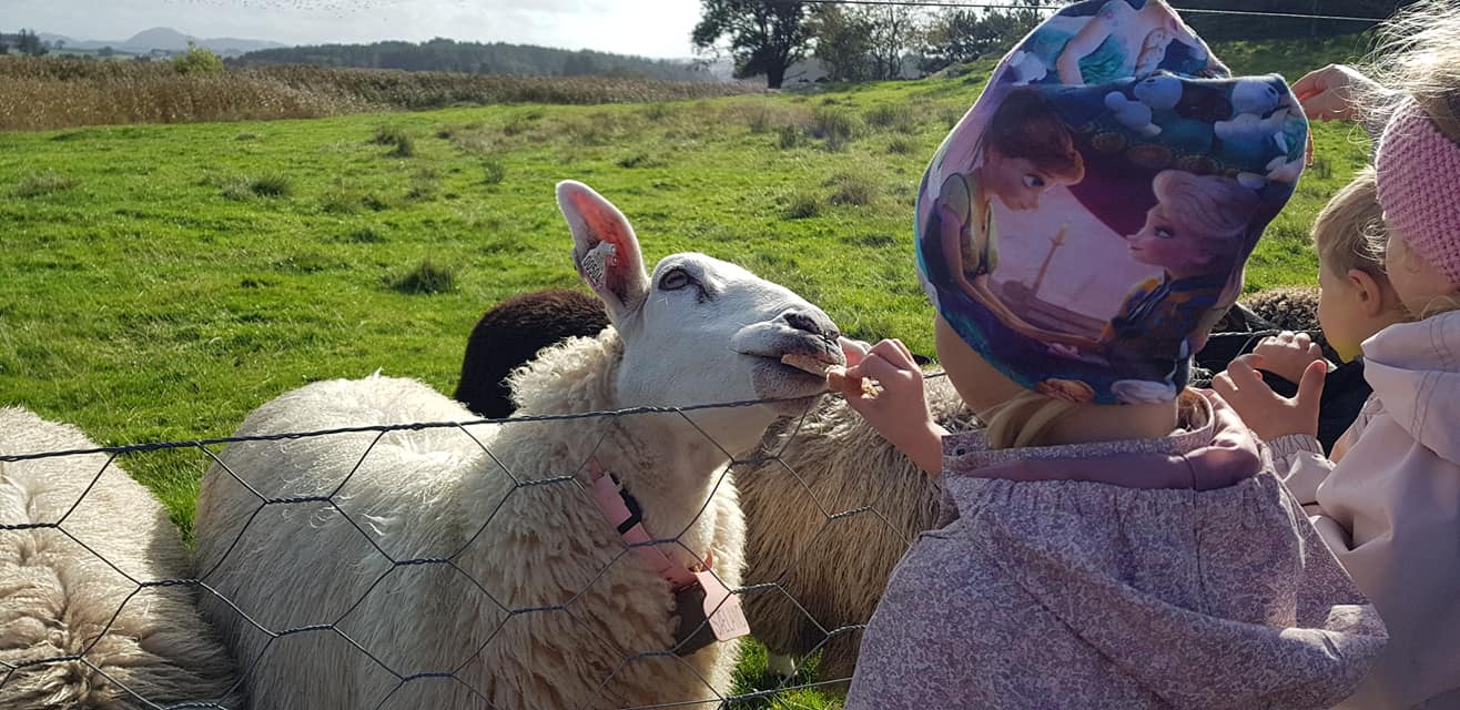 42108772_2106383303005085_3397031282427822080_o