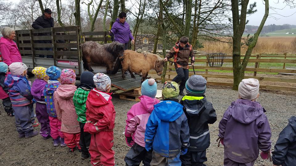 18010502_1768743293435756_4298895387464496678_n